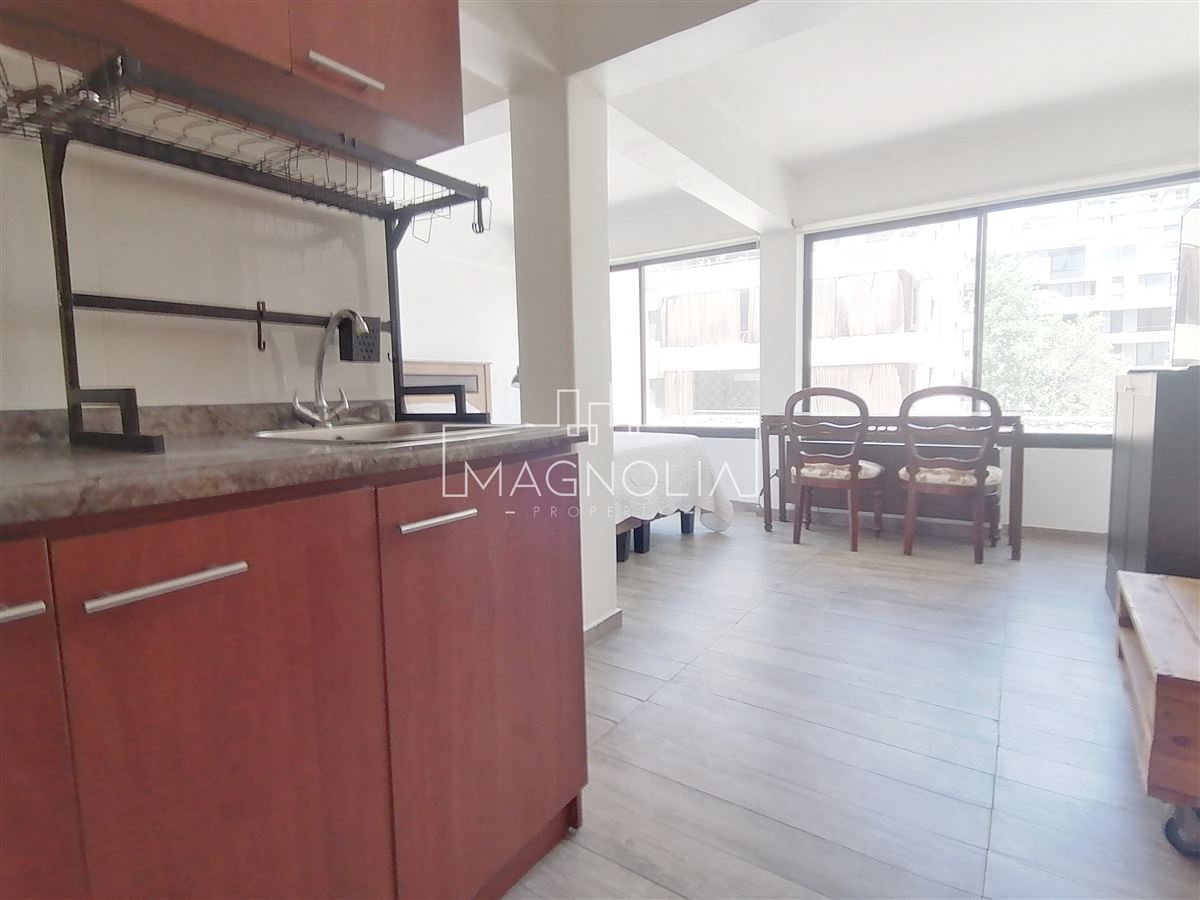 departamento en arriendo en Providencia