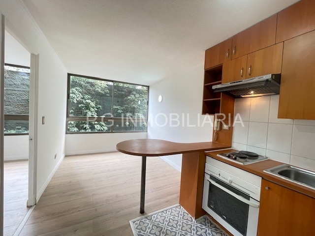 Departamento en Arriendo en Santiago 1 dormitorio 1 baño / Gestión y Propiedad